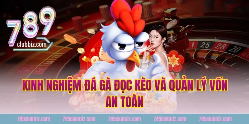 kinh nghiệm đá gà đọc kèo và quản lý vốn an toàn