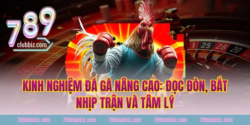 kinh nghiệm đá gà nâng cao: đọc đòn, bắt nhịp trận và tâm lý