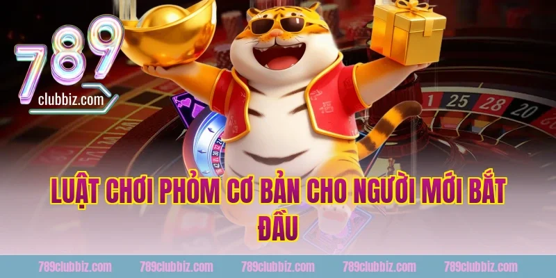 Luật chơi phỏm cơ bản cho người mới bắt đầu